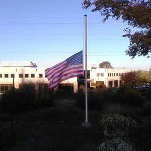 Meet your Posher, Eugene